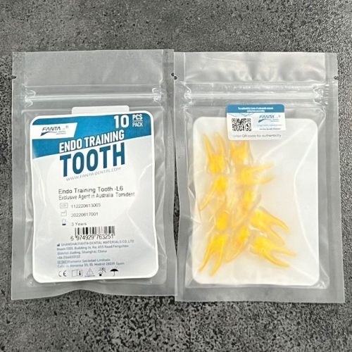 Endo training teeth #L6 Lower Molar 1 per pack